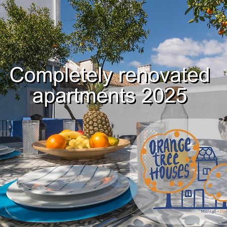 Orangetreehouses Монтижу Екстериор снимка